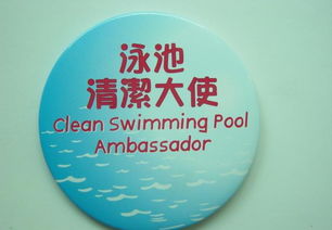 馬口鐵徽章 定制價(jià)格、廠家選擇與廣告應(yīng)用全攻略