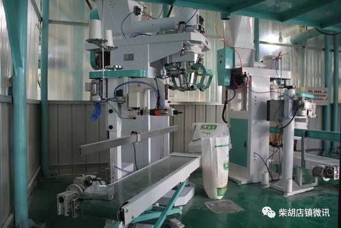 招項目 聚技改 重生態(tài) 建筑材料行業(yè)吹響新舊動能轉換集結號